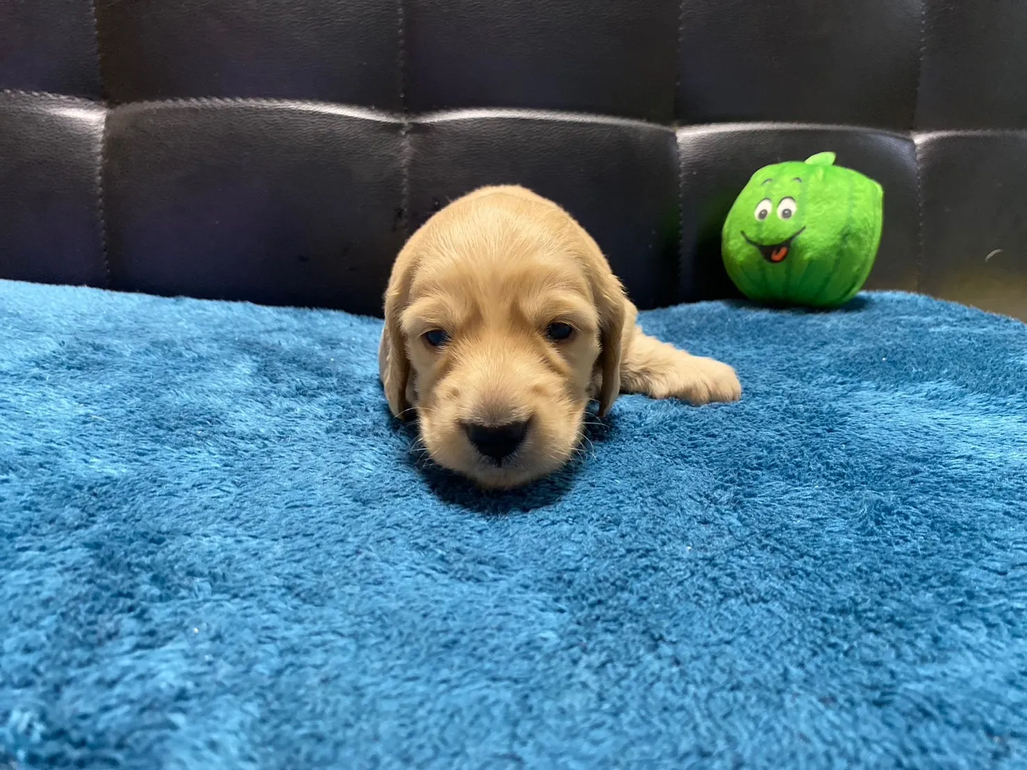 決まりました✨ありがとうございます