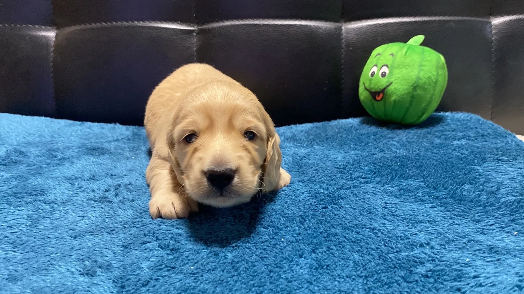 決まりました✨ありがとうございます