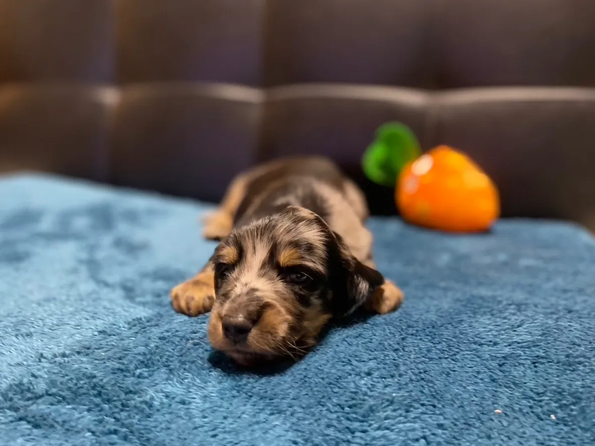 お気軽にお問い合わせください✨