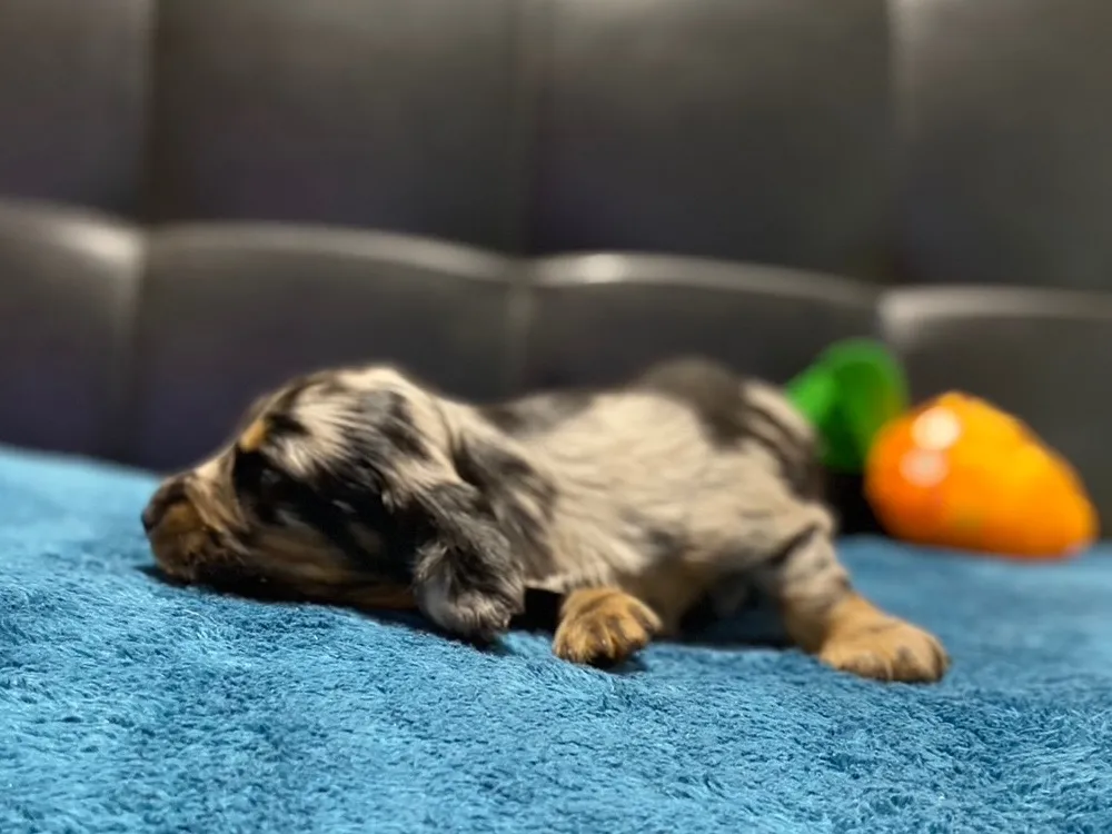 決まりました✨ありがとうございます