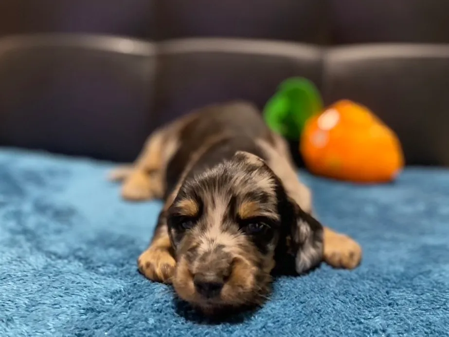 ありがとうございます✨