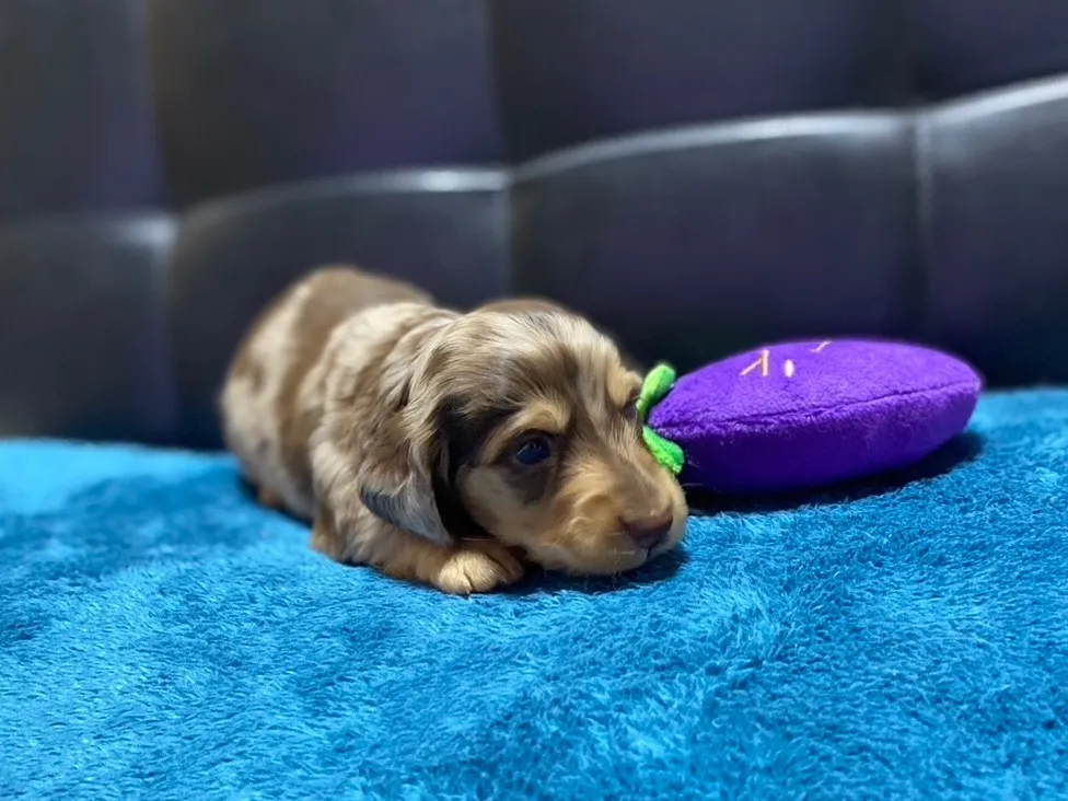 決まりました✨ありがとうございます