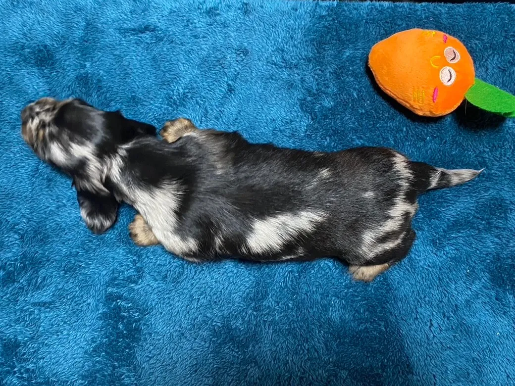 決まりました✨ありがとうございます