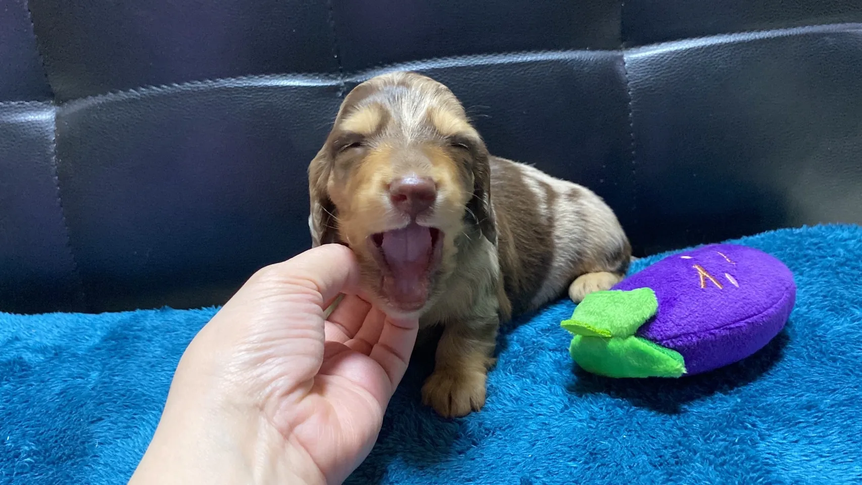 2025.11.10 うまれ