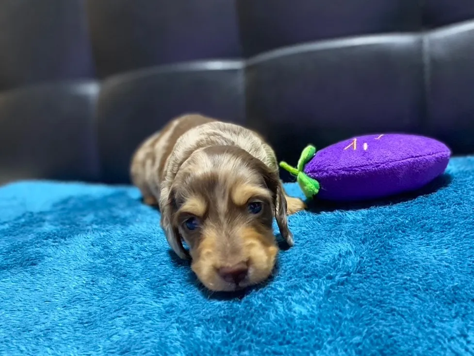 ありがとうございます✨