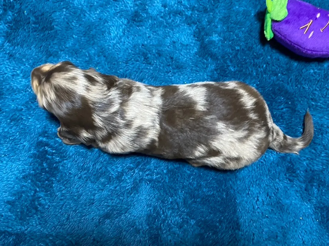 お気軽にお問い合わせください✨