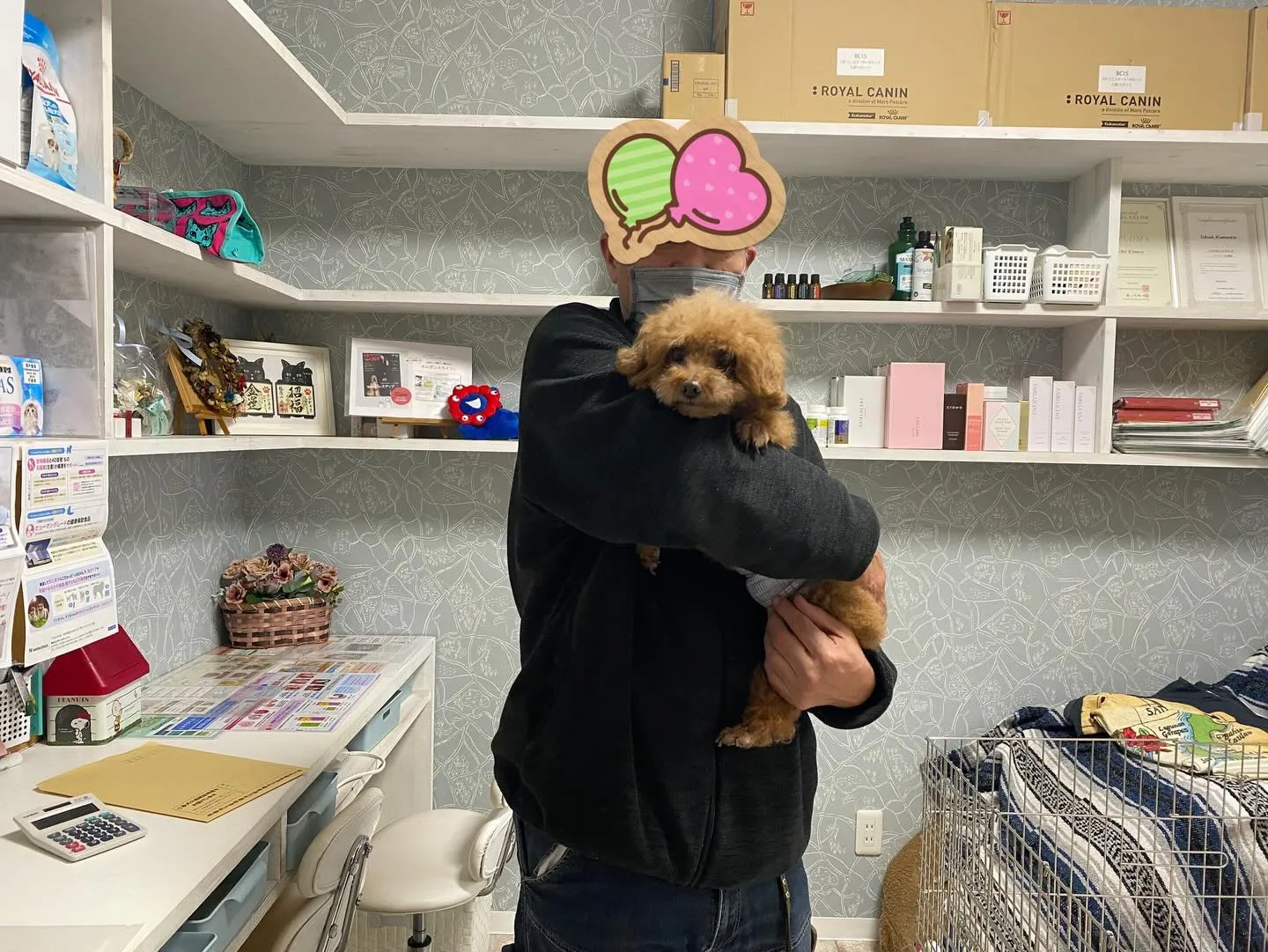 巣立ちの日✨🕊️✨🏠✨🕊️✨🏠✨🐾