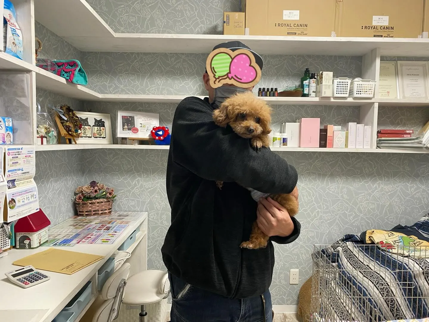 巣立ちの日✨🕊️✨🏠✨🕊️✨🏠✨🐾