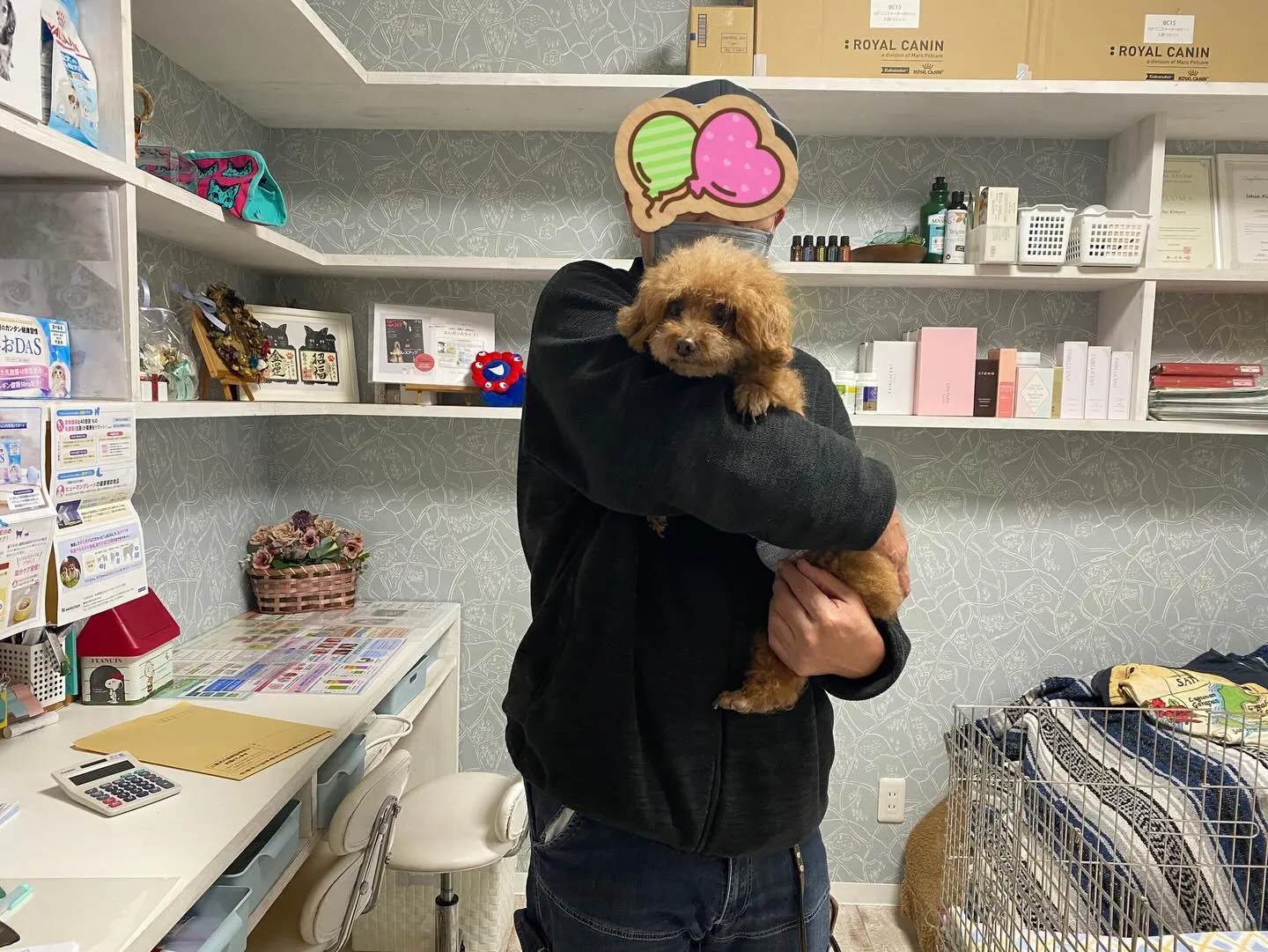 巣立ちの日✨🕊️✨🏠✨🕊️✨🏠✨🐾