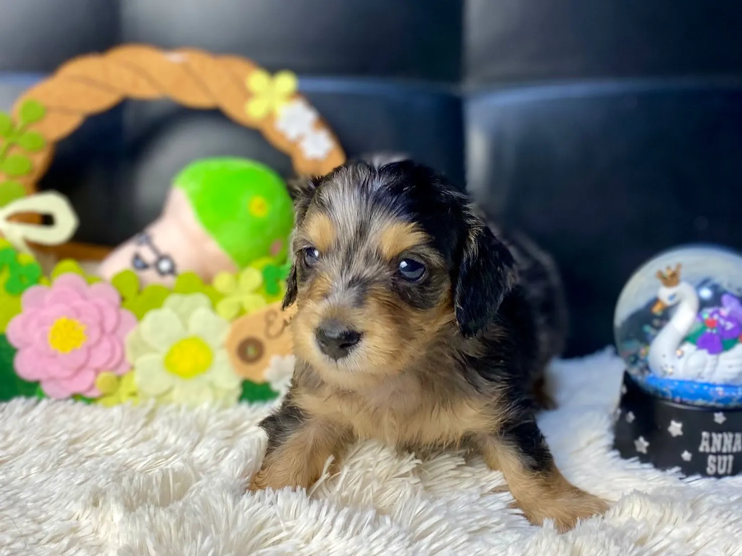 決まりました✨ありがとうございます