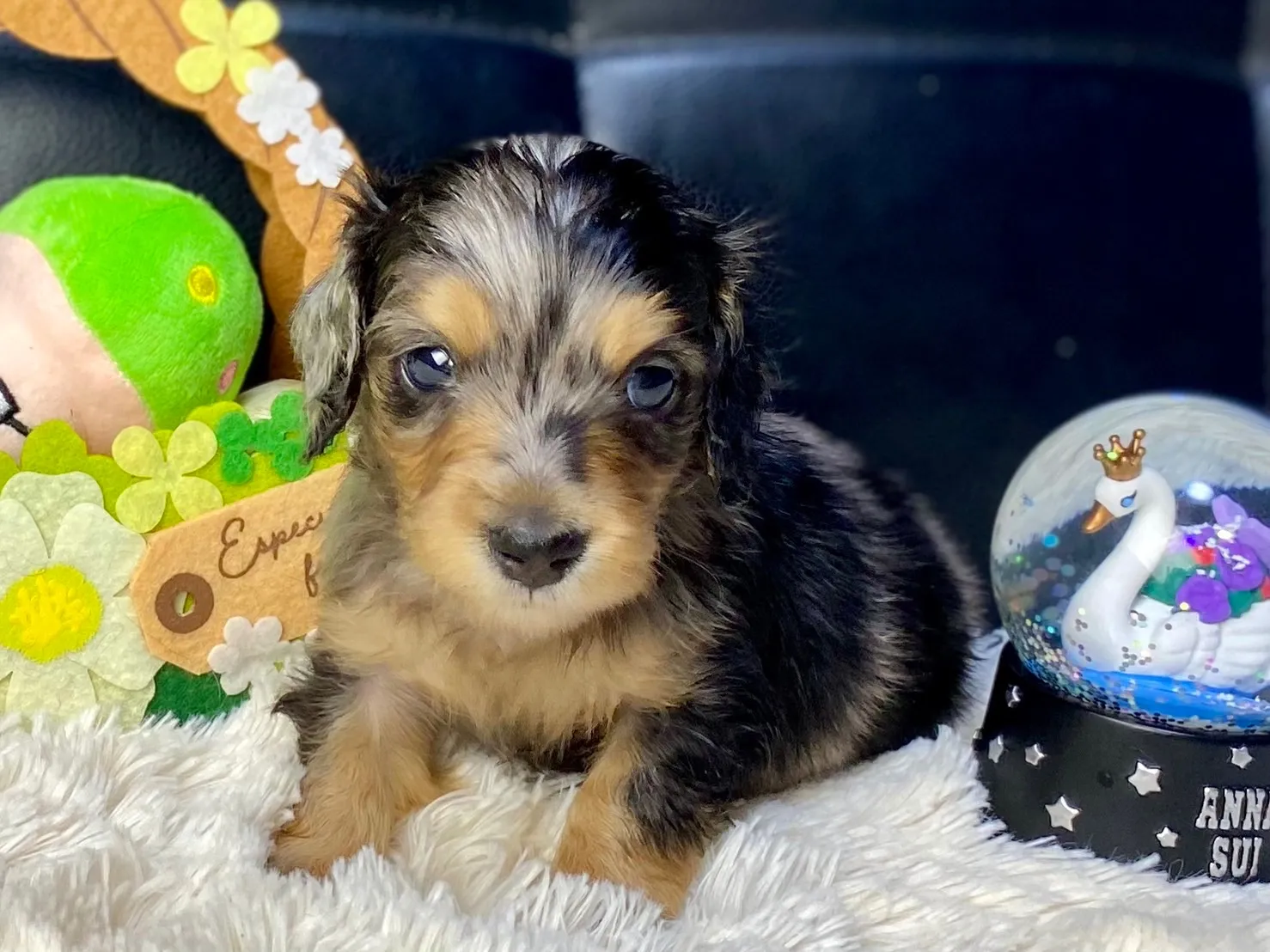 決まりました✨ありがとうございます