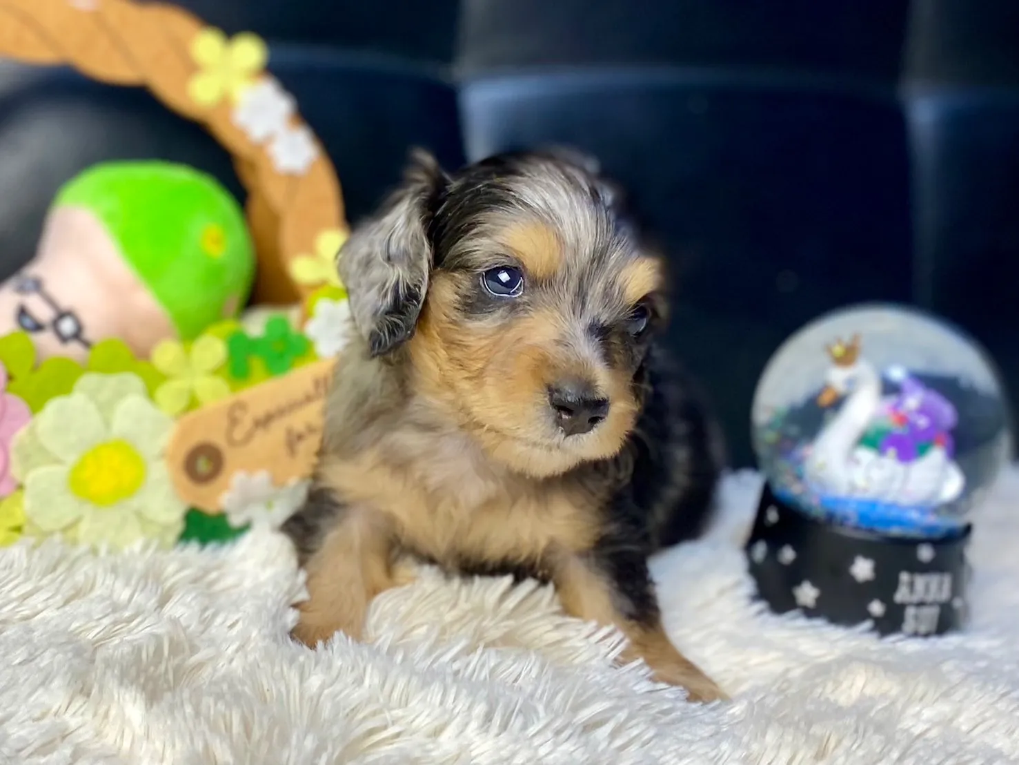 決まりました✨ありがとうございます