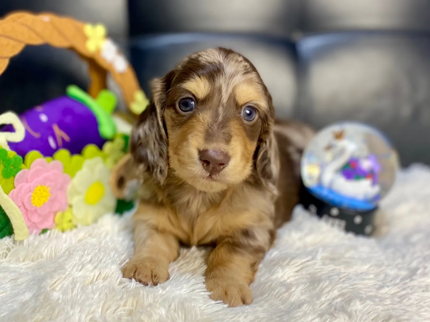 決まりました✨ありがとうございます