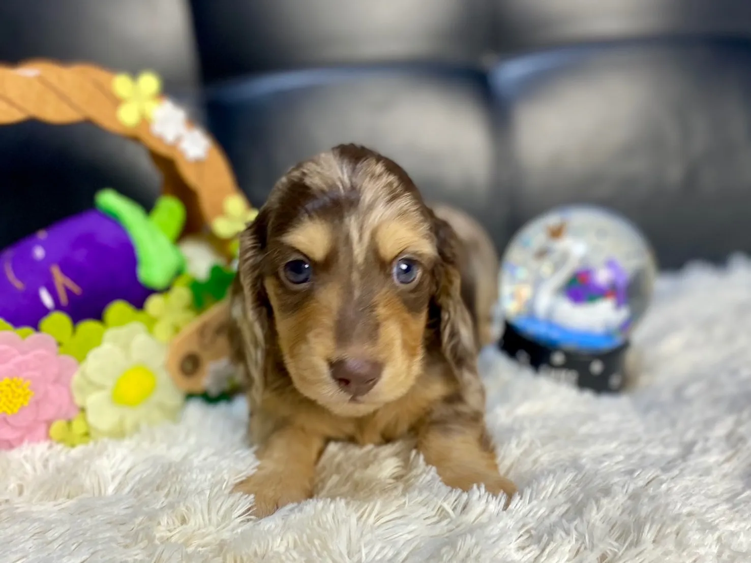 決まりました✨ありがとうございます