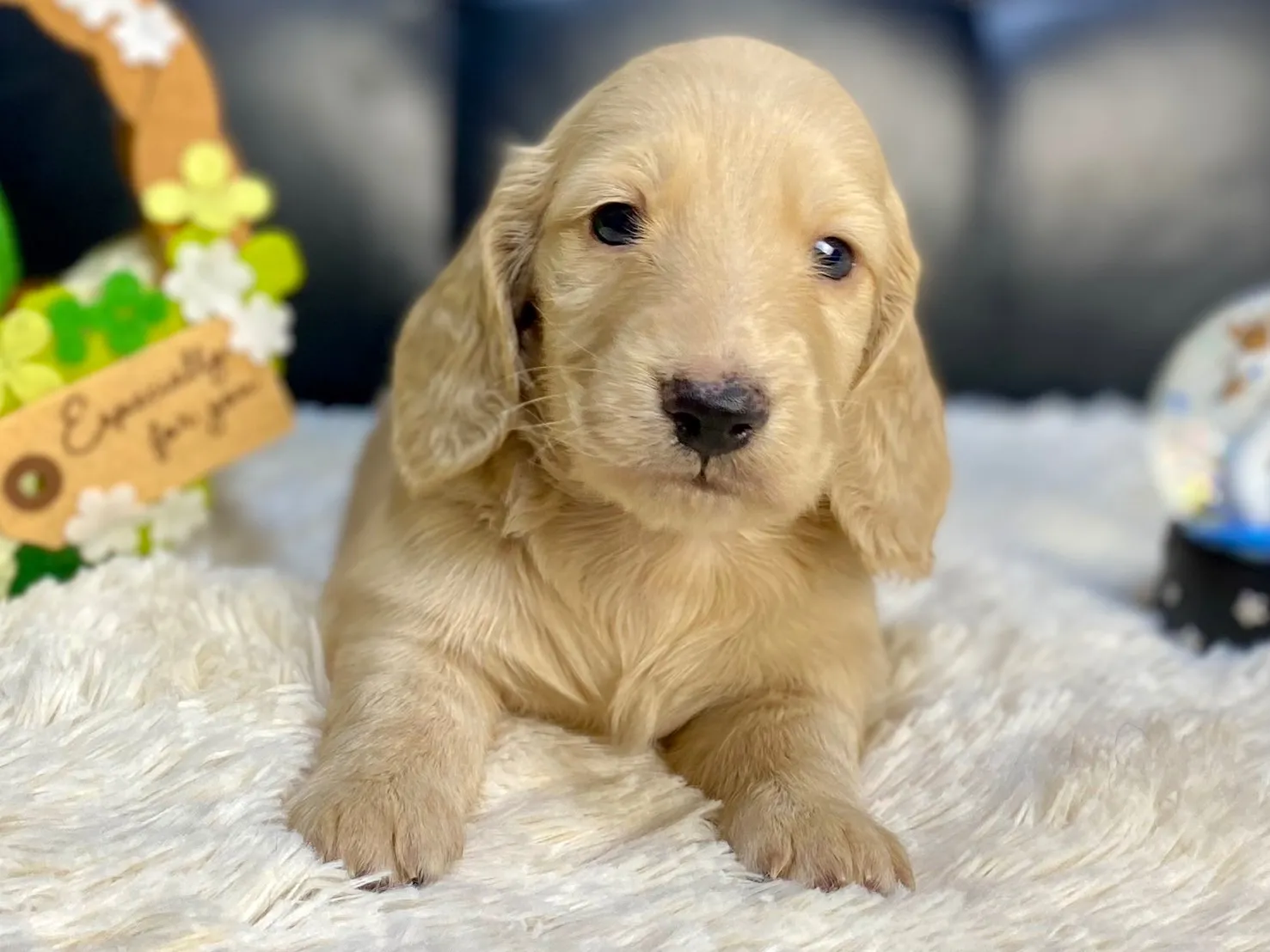 決まりました✨ありがとうございます