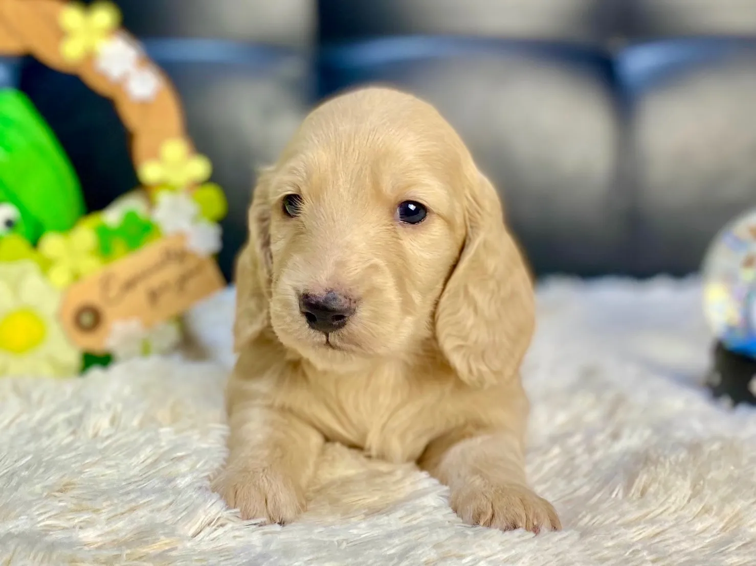 決まりました✨ありがとうございます