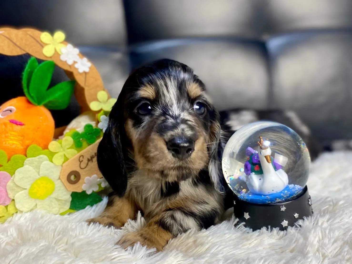 決まりました✨ありがとうございます