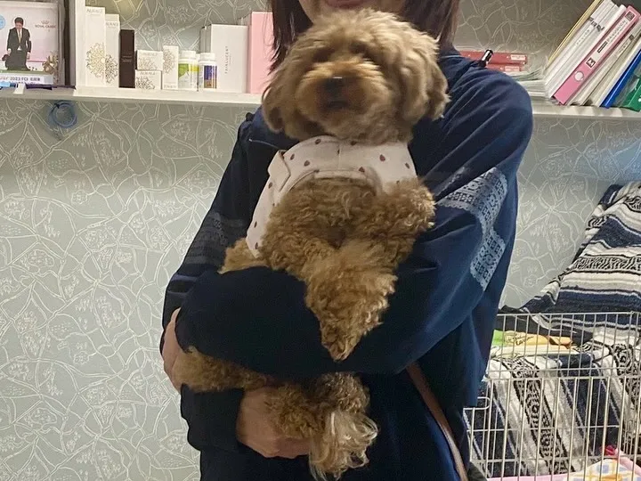 巣立ちの日✨🏠✨🕊️✨🏠✨