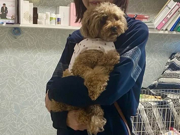 巣立ちの日✨🏠✨🕊️✨🏠✨