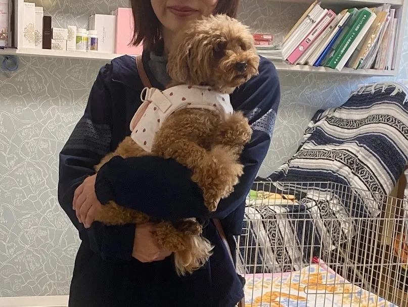 巣立ちの日✨🏠✨🕊️✨🏠✨