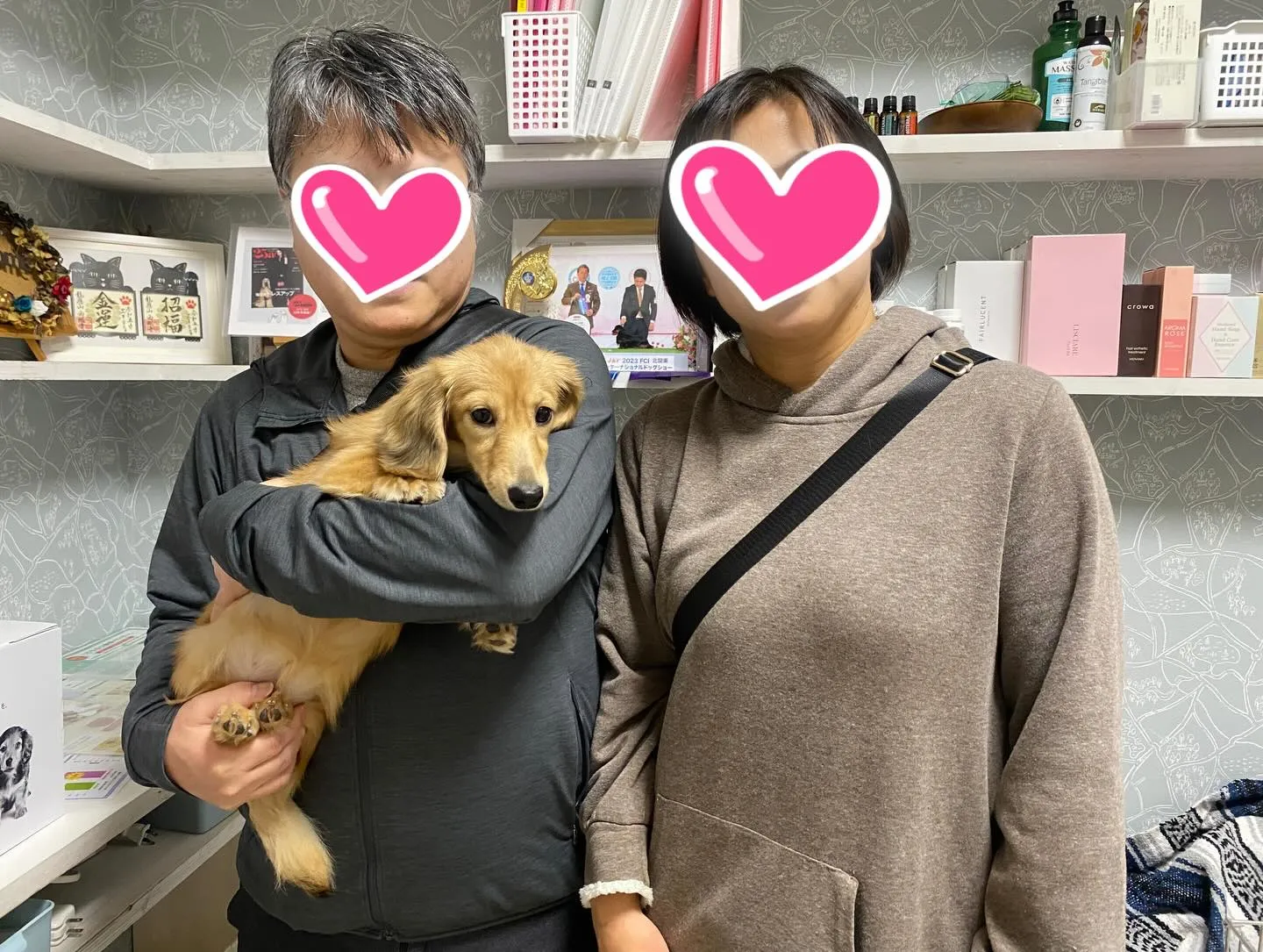 ココちゃん巣立ちの日✨🏠✨🕊️✨🏠✨🐾