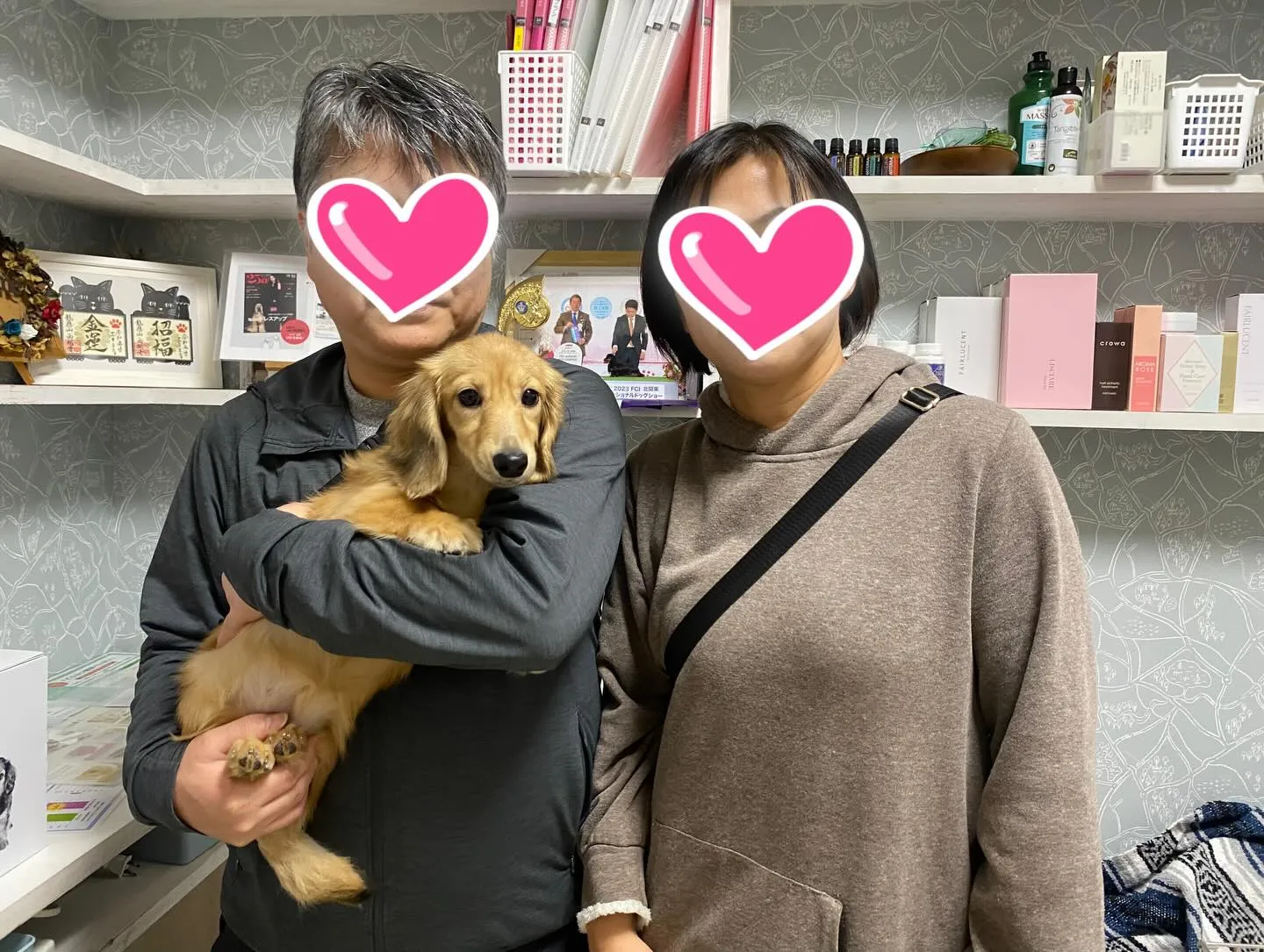 ココちゃん巣立ちの日✨🏠✨🕊️✨🏠✨🐾