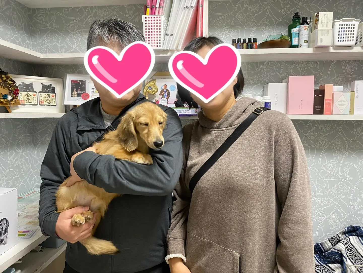 ココちゃん巣立ちの日✨🏠✨🕊️✨🏠✨🐾