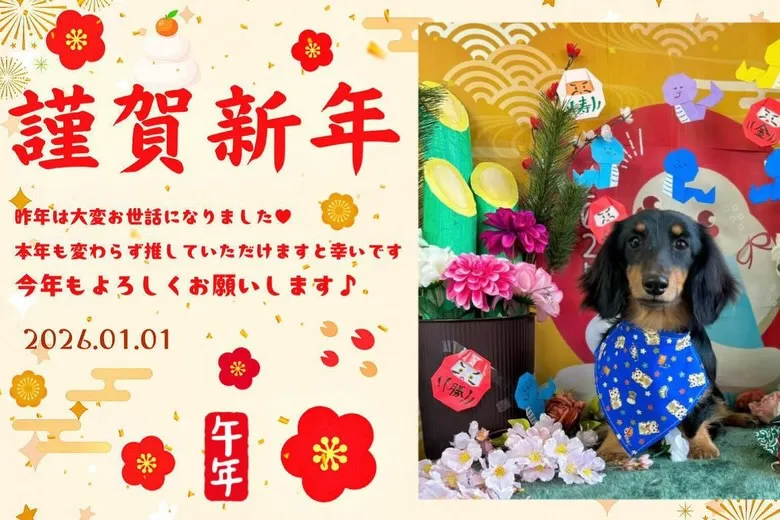 あけましておめでとうございます🐴🎍🌅✨