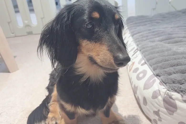 あけましておめでとうございます🐴🎍🌅✨