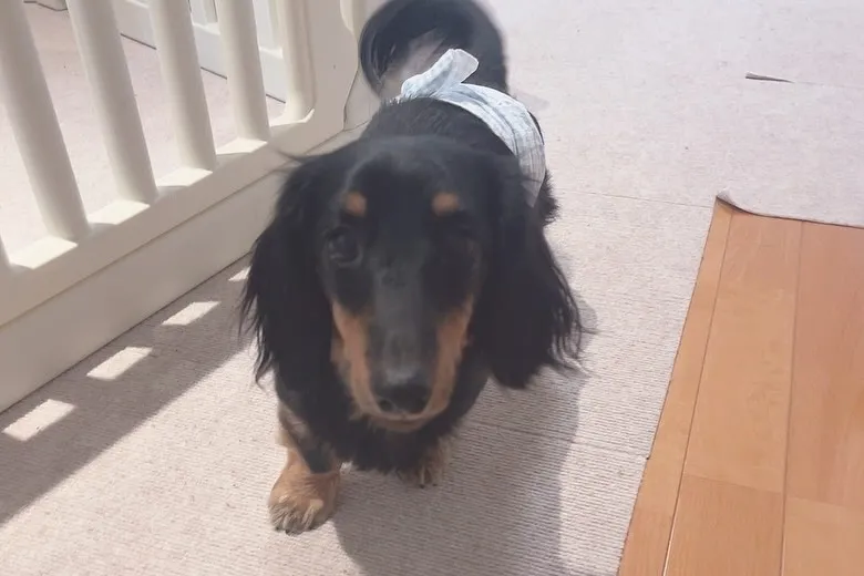 あけましておめでとうございます🐴🎍🌅✨