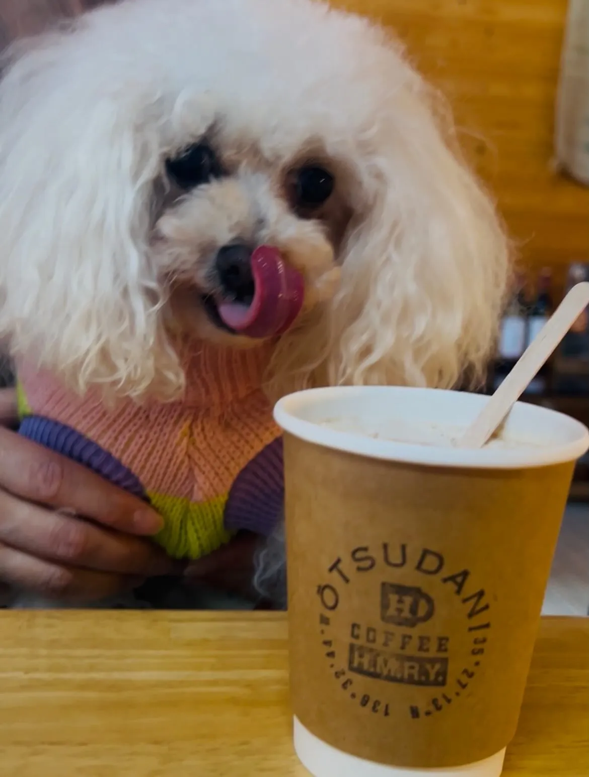 お蕎麦と大津谷公園キャンプ場カフェ🐾