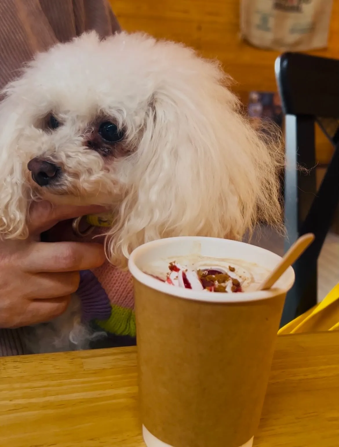 お蕎麦と大津谷公園キャンプ場カフェ🐾