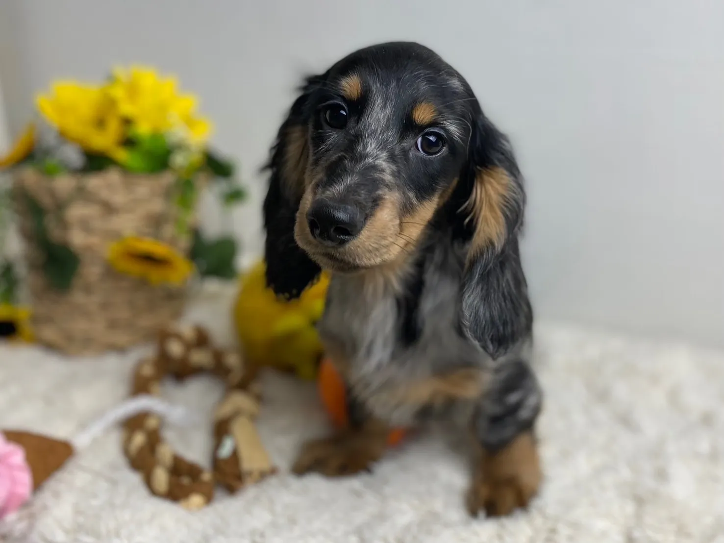 決まりました✨ありがとうございます