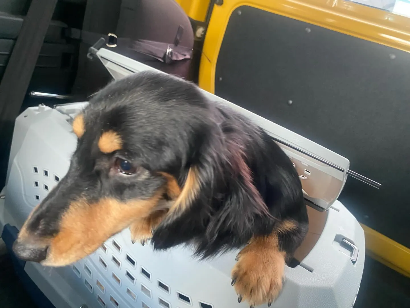 オクラ＆カヌレ🐾