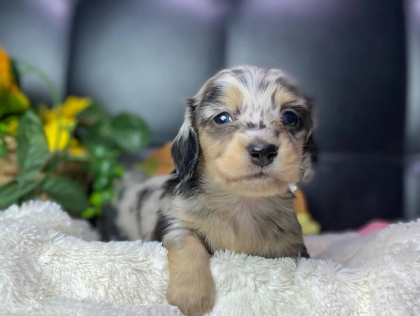 決まりました✨ありがとうございます