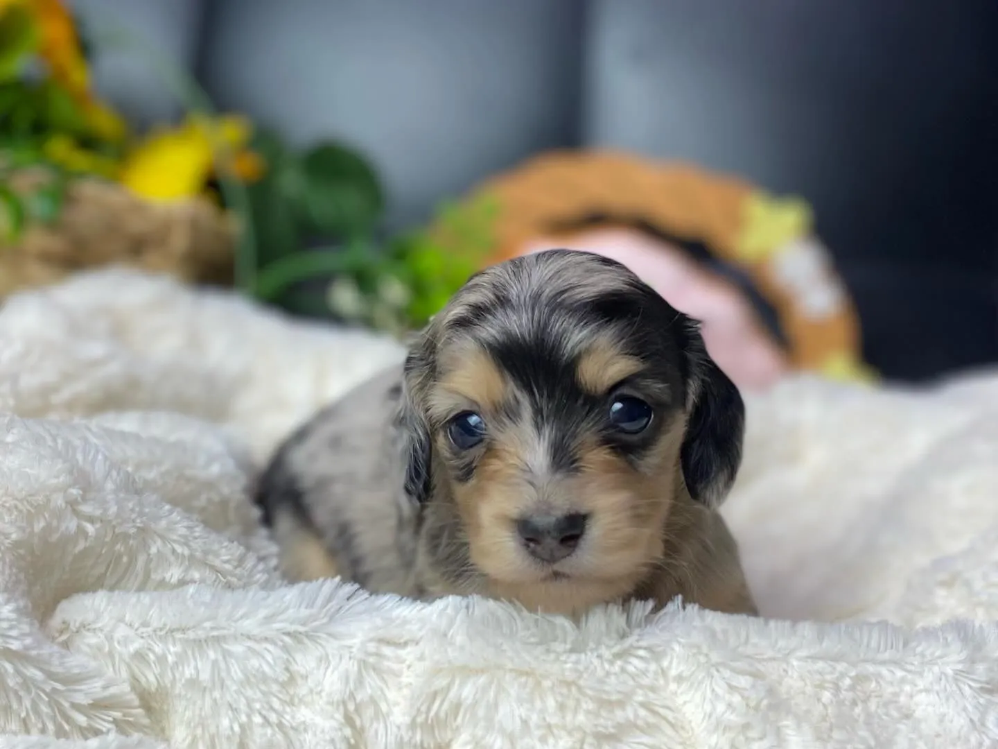 決まりました✨ありがとうございます