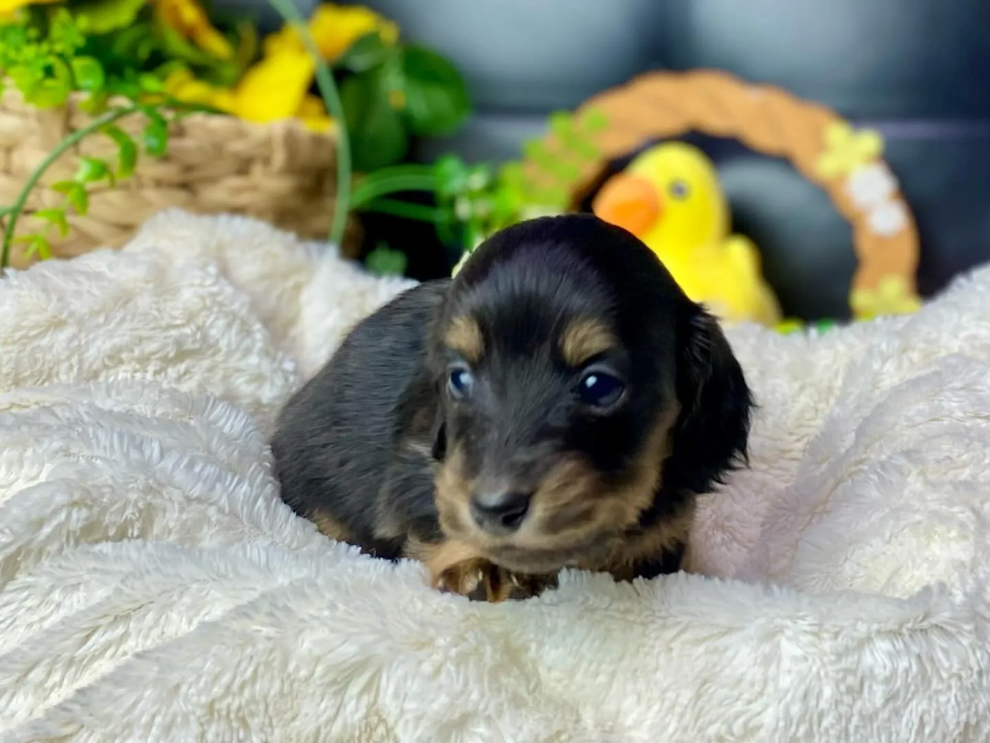 決まりました✨ありがとうございます