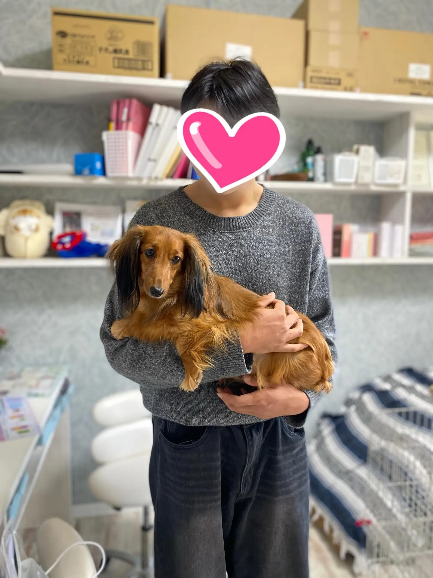 巣立ちの日✨🕊️✨🏠✨🕊️✨