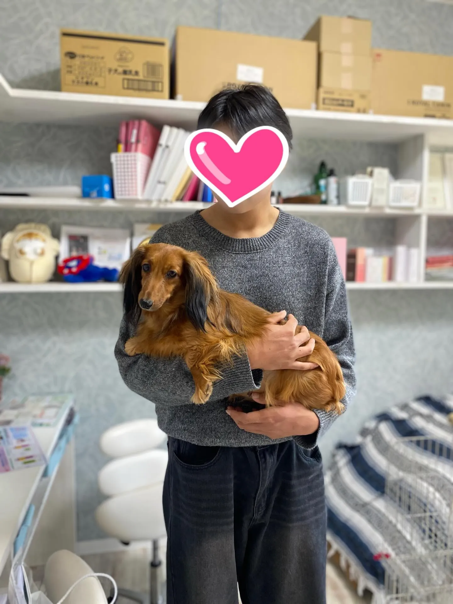 巣立ちの日✨🕊️✨🏠✨🕊️✨