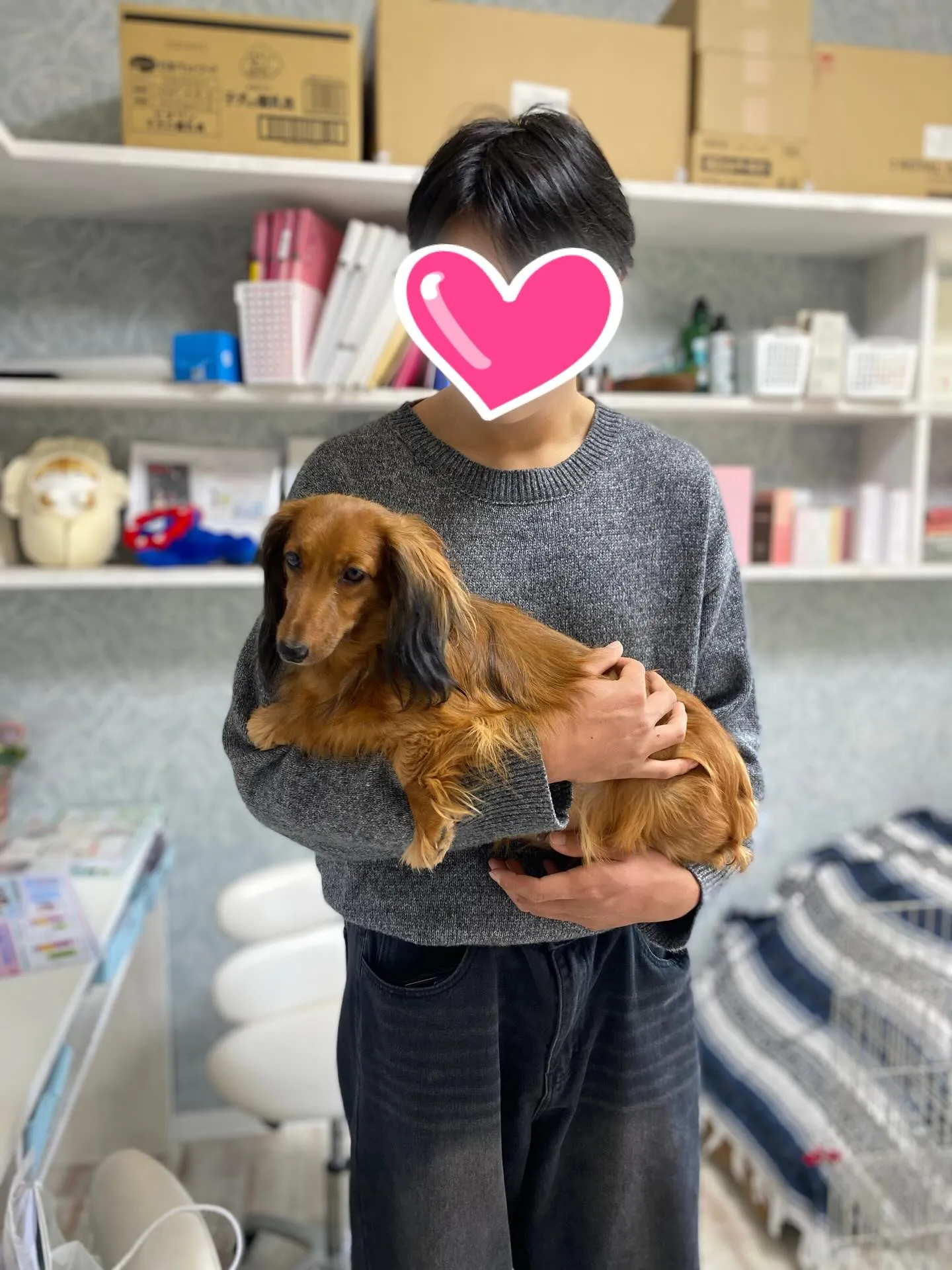 巣立ちの日✨🕊️✨🏠✨🕊️✨