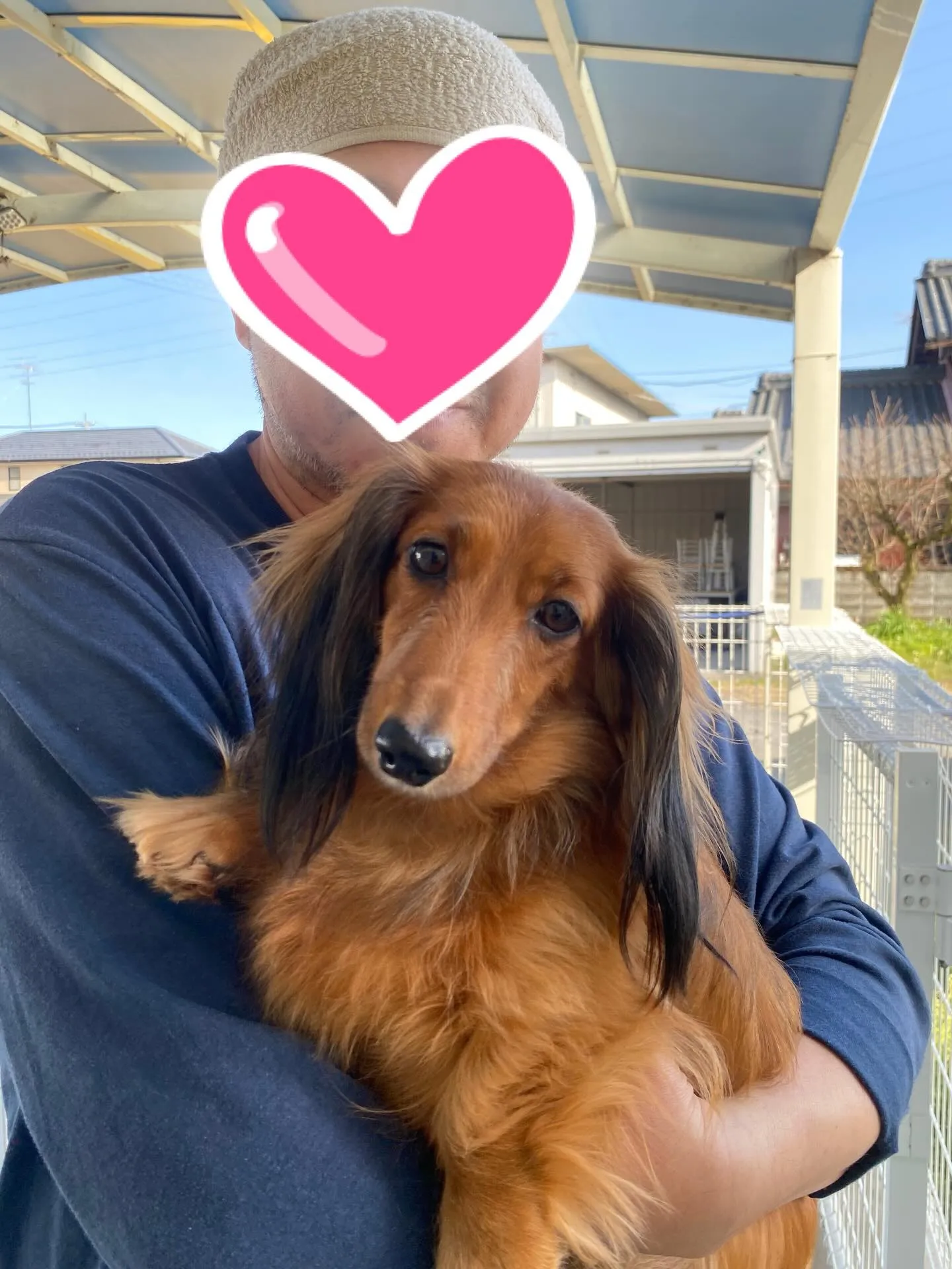 巣立ちの日✨🕊️✨🏠✨🕊️✨