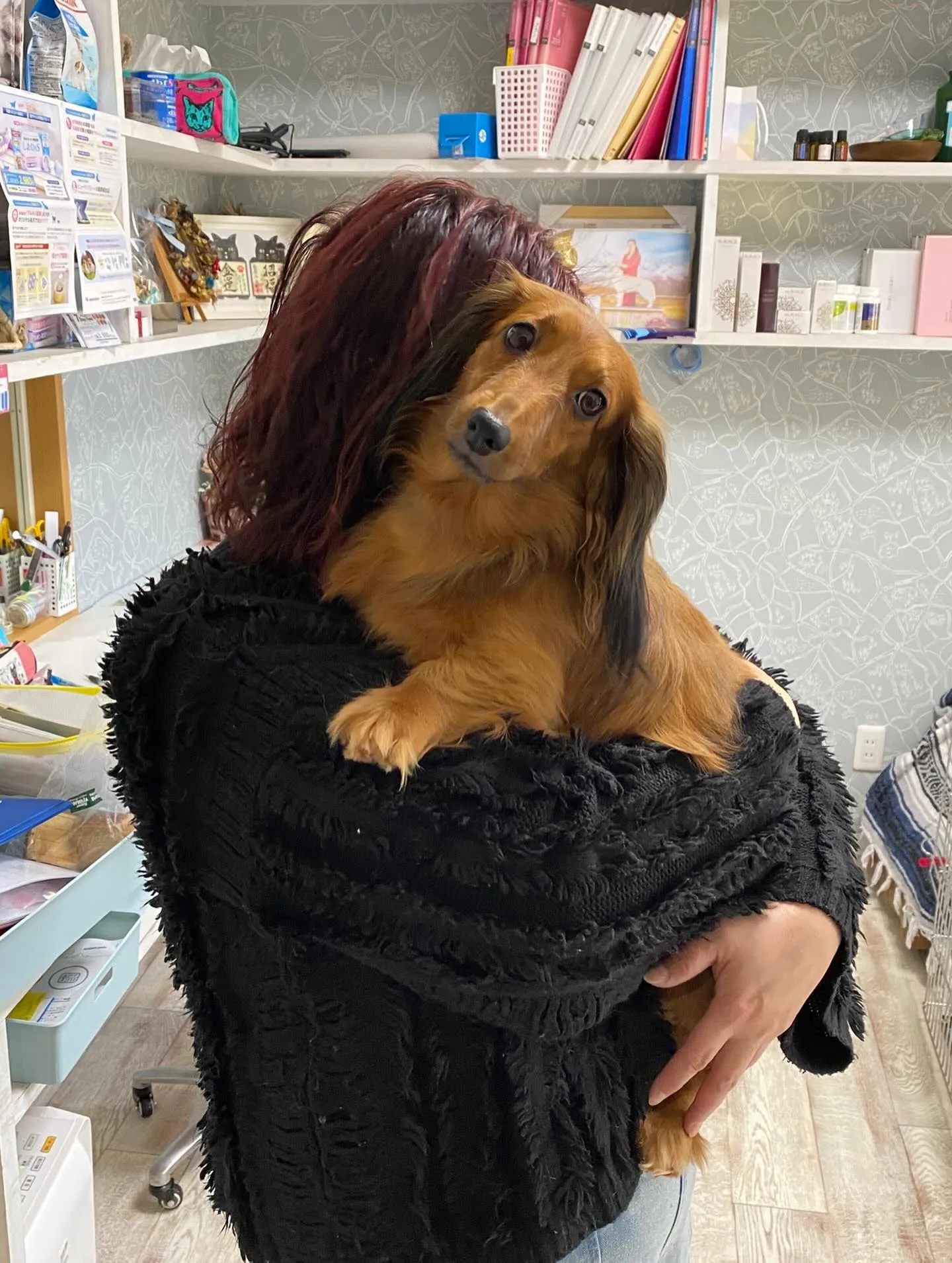 巣立ちの日✨🕊️✨🏠✨🕊️✨