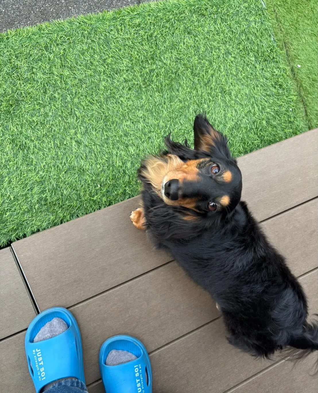 うなちゃん＆ピノちゃん＆クール君🐾