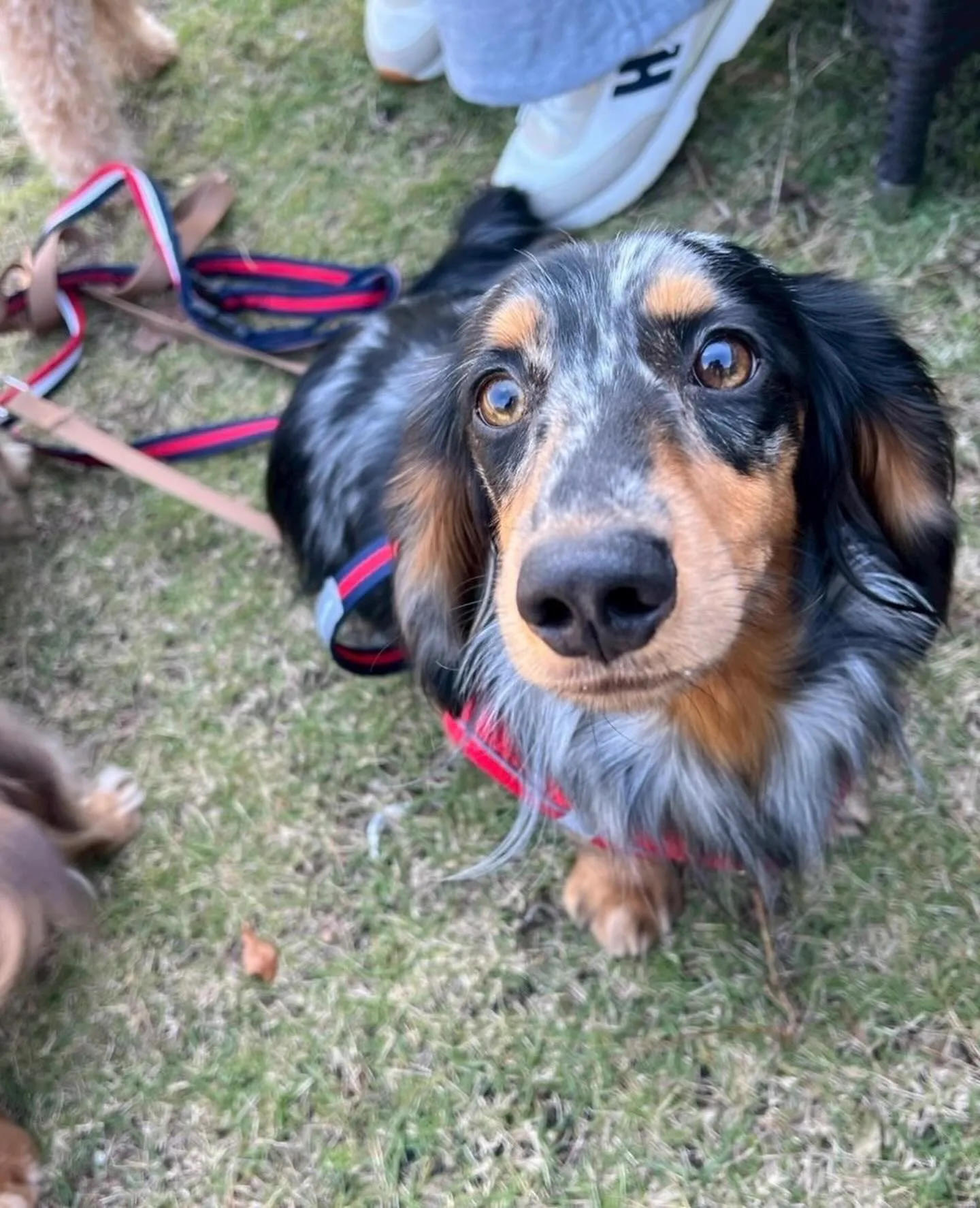 うなちゃん＆ピノちゃん＆クール君🐾