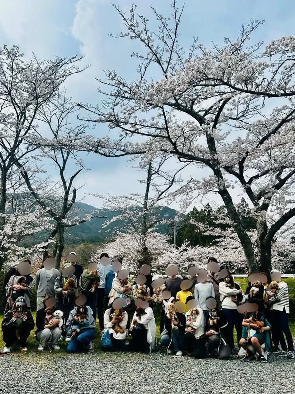 2026年3月29日　お花見オフ会🐾