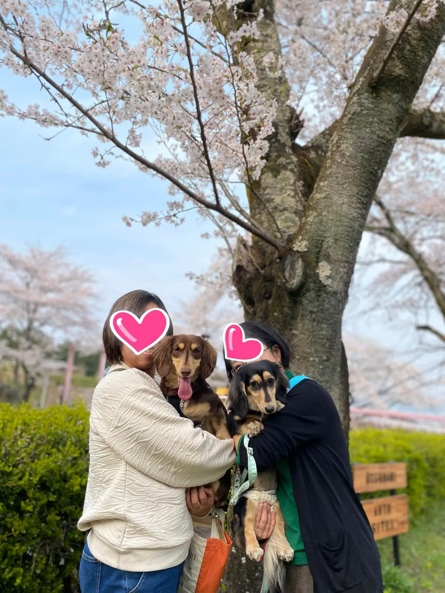 兄マロン君&妹ナノちゃん🐾