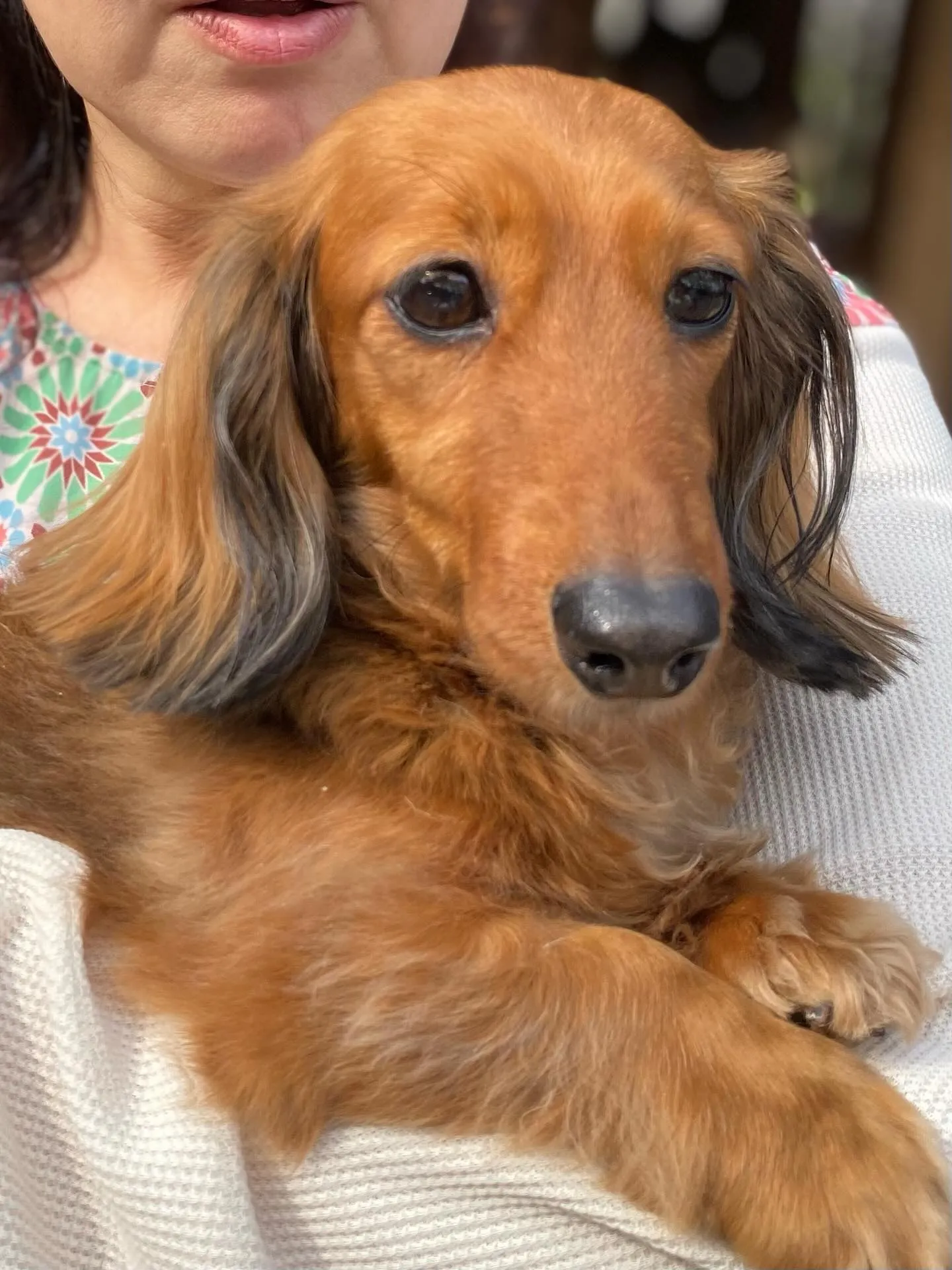 お花見オフ会にて🐾