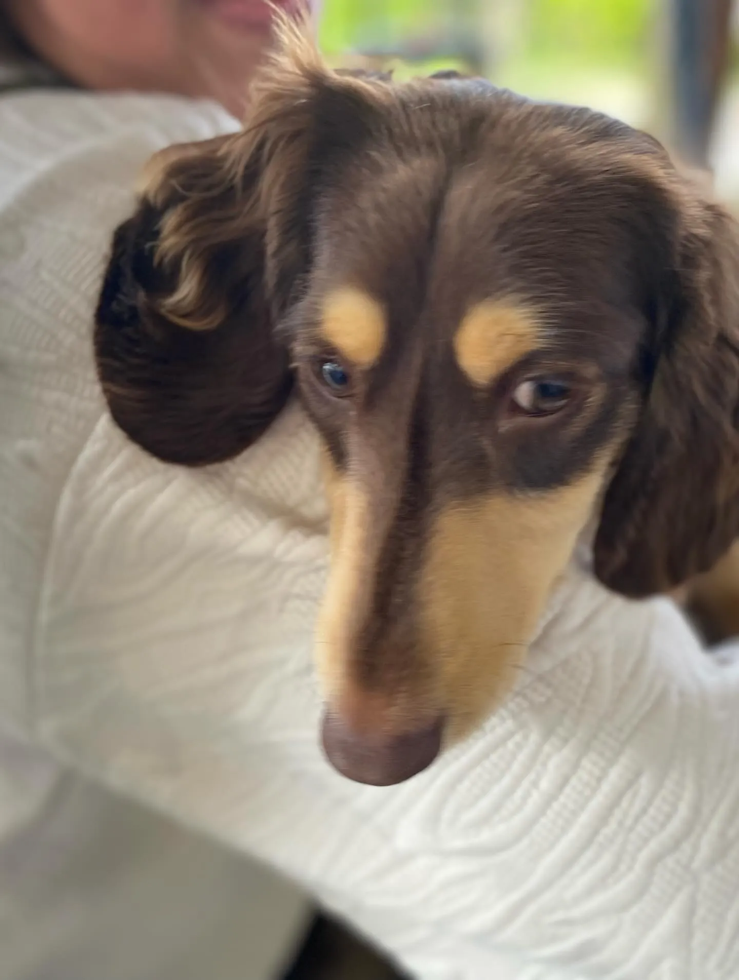 お花見オフ会にて🐾