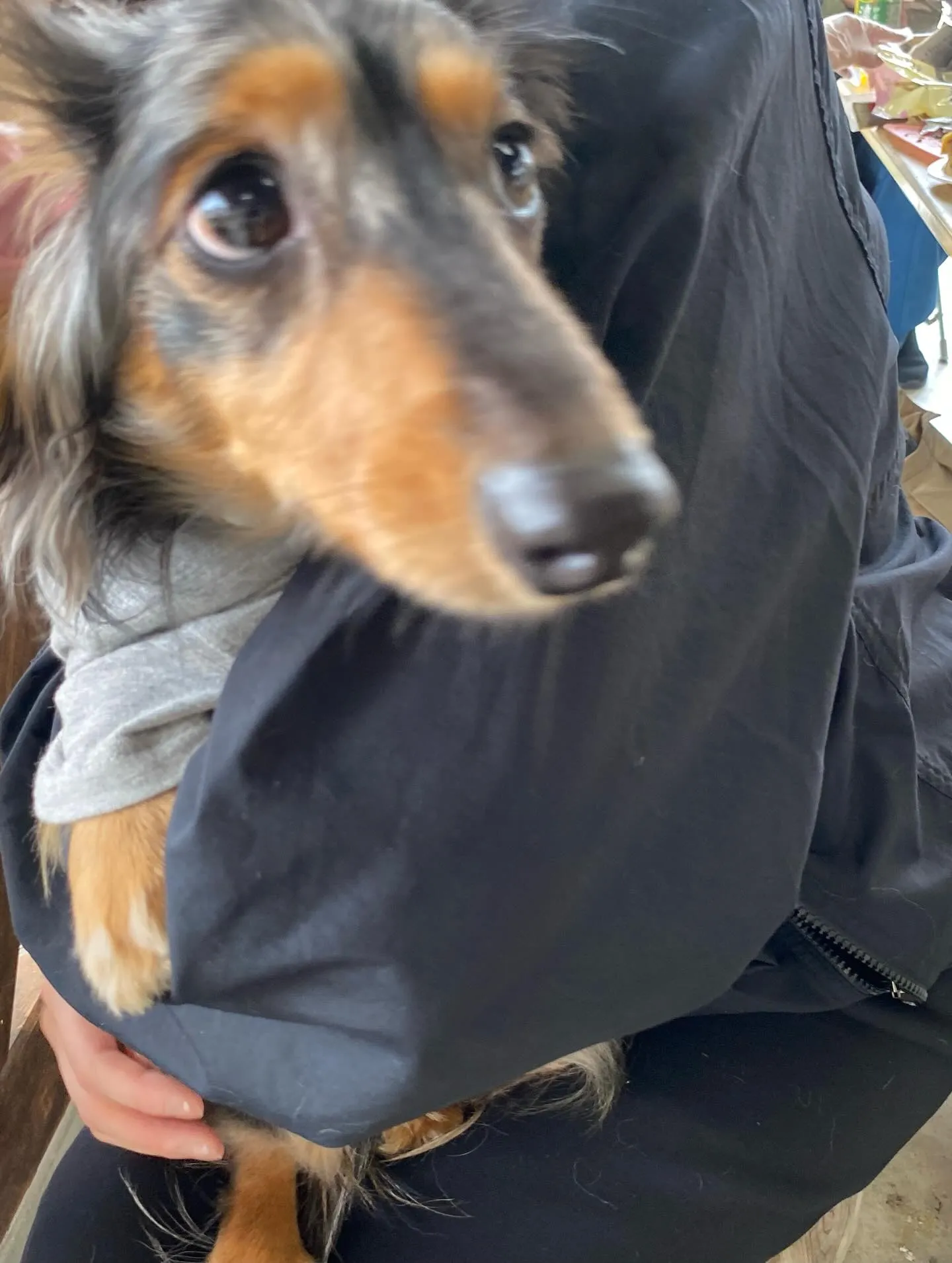 お花見オフ会にて🐾