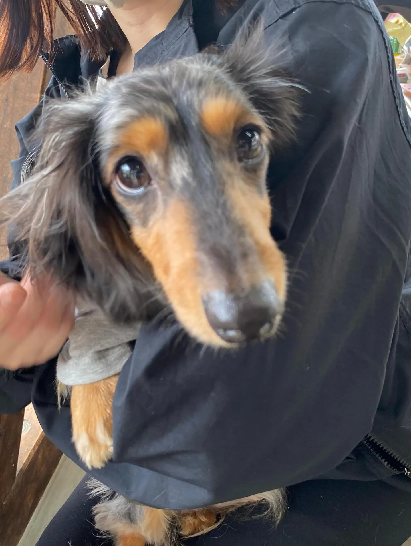 お花見オフ会にて🐾